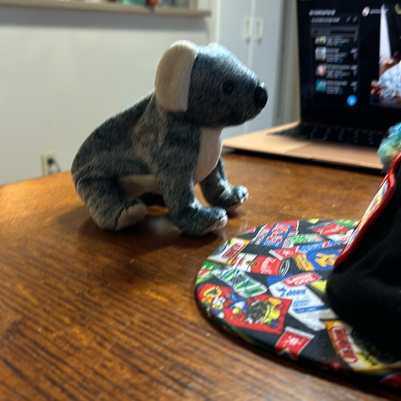 Ty Koala - Picture 3 of 3